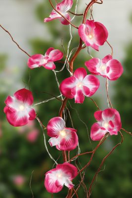 Dekovase Hellum LED-Orchidee mit roten Blüten u